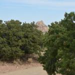 OTRA2013_2264 (July 22, 2013)